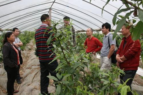 南京分院到涟水县东胡集镇小埝村进行促发展奔