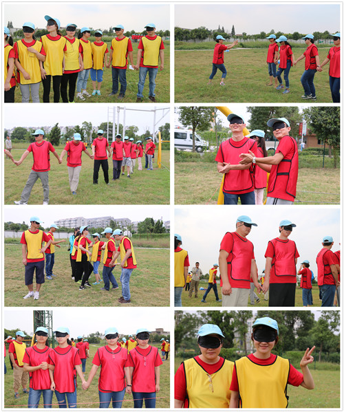 合肥研究院举办2015年新职工素质拓展培训活动