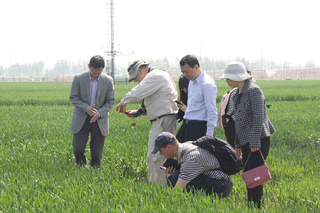 中国环境与发展国际合作委员会专家访问栾城农