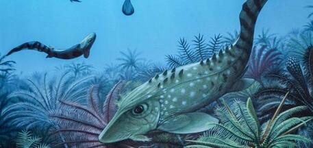 大灭绝致地球生物缩水