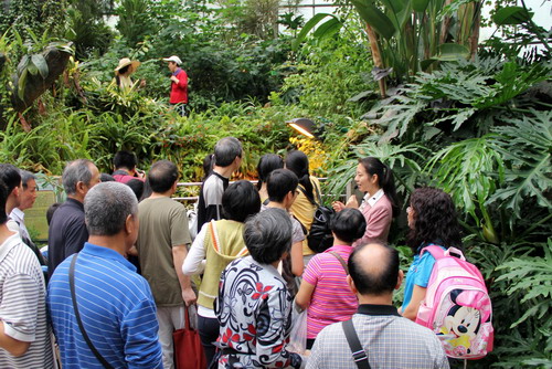 2015年广州科普游自由行系列活动在华南植物