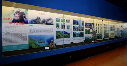 昆明动物所与怒江州人民政府联合举办黑色精