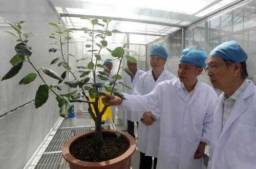 Ӣ���ֿϿ����˹����ׯ԰ţ��ƻ�������Ϻ���ɽֲ��԰��������