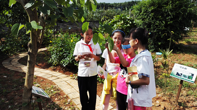 版纳植物园到景洪市小街中心小学开展环境教育