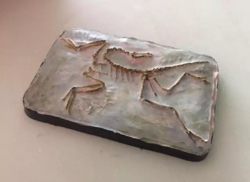 国家动物博物馆暑期鸟类、昆虫科学体验营招募