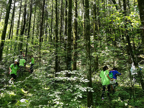 武汉植物园推出神农架生态圈探秘之旅研学游