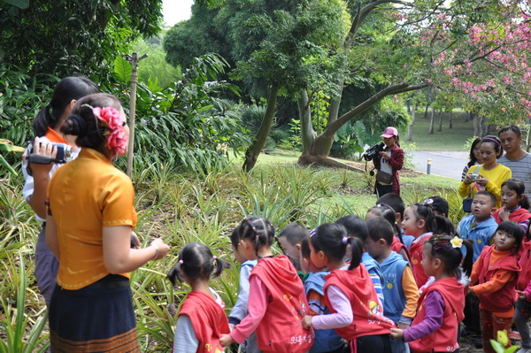 景洪亲子团畅游版纳植物园