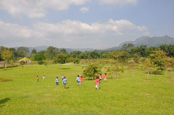 景洪亲子团畅游版纳植物园