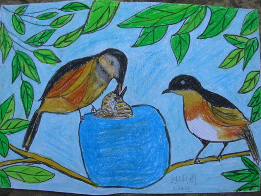 版纳园联合勐仑中学举办鸟类绘画比赛