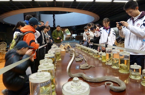 中国科学院科技英才云南行走进昆明动物博物馆