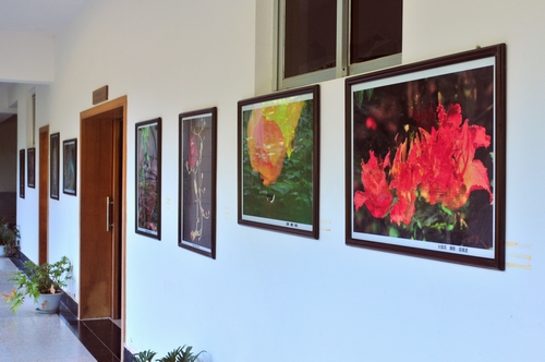 版纳植物园热带雨林民族文化博物馆举办生态