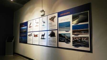 昆明动物博物馆湿地展墙揭示动物生命轨迹