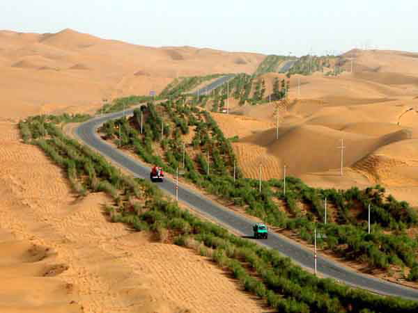沙漠公路生态防护林带
