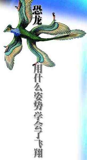 恐龙是鸟类的祖先它用什么姿势学会了飞翔(图