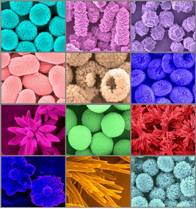 过程工程所制备出纳米晶自组装体抗癌药物载体