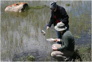 中德科研人员联合开展湖泊介形类采样与水质测