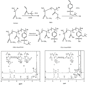 青岛能源所在纤维素仿酶水解技术研究中取得新