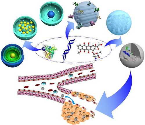 理化所在介孔二氧化硅材料生物医学应用方面取