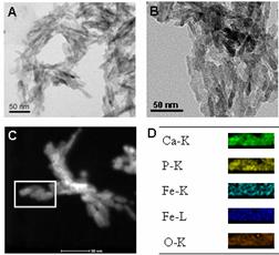 宁波材料所在仿生功能高分子材料方面取得新进