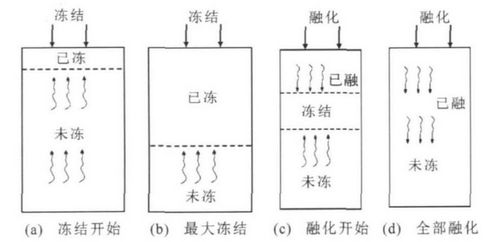 旱所发现冻融循环对压实黄土湿陷变形影响机制