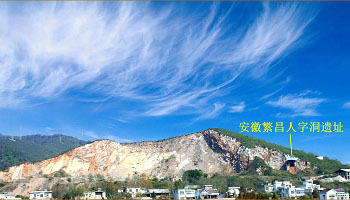 古脊椎所等在安徽首次发现第四纪中华乳齿象头