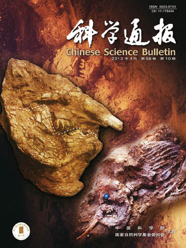 古脊椎所等对华南第四纪中华乳齿象研究取得系