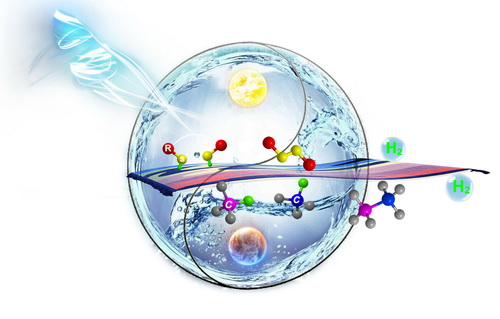 理化所光化学反应研究取得进展