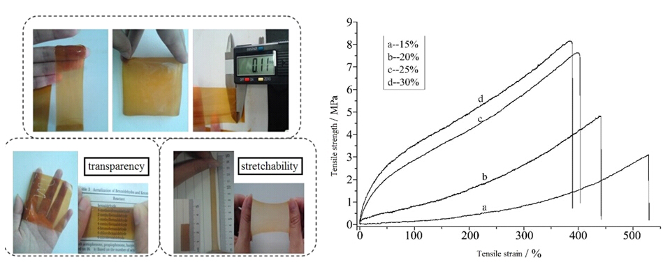 青岛能源所木质纤维原料预处理及高效利用研究