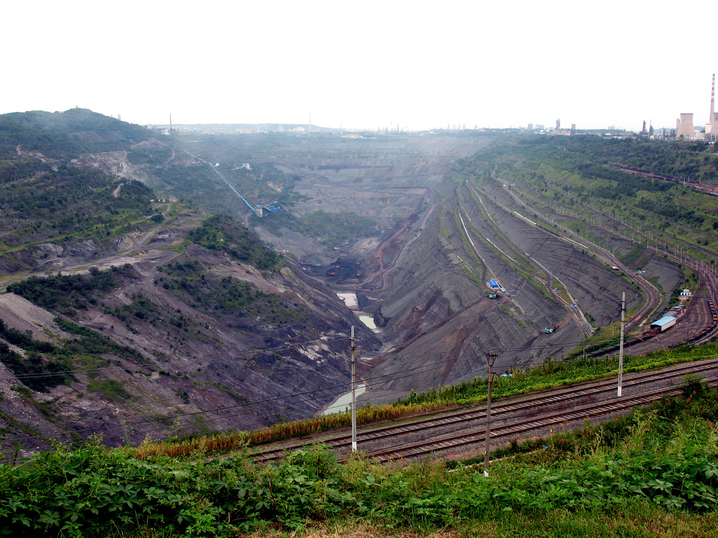 南京古生物所等在抚顺琥珀研究中取得进展