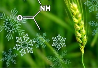 <a href="./kyjz/201408/t20140807_4171630.shtml">植物所发现小麦春化作用分子...</a>