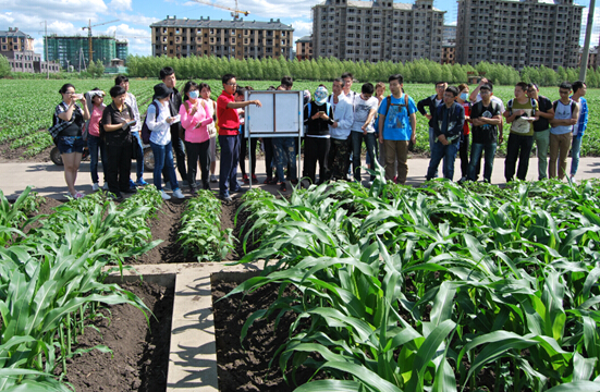 东北农业大学生态学专业学生到海伦农业生态实