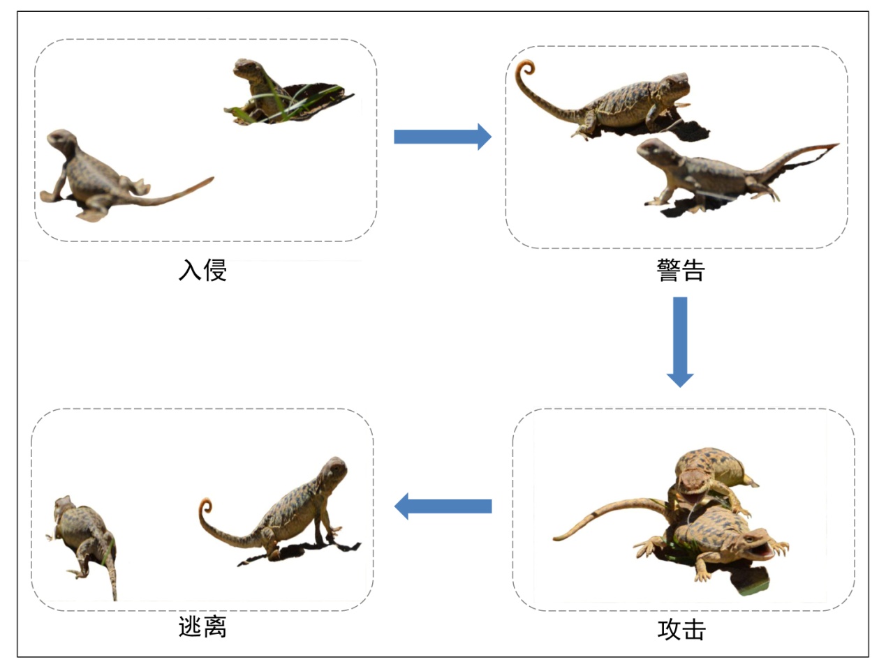 什么是动物源性蛋白 W020190531518127133381.jpg