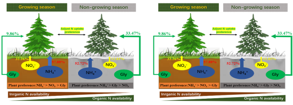 成都生物所在高寒森林植物氮素吸收策略研究中取得进展