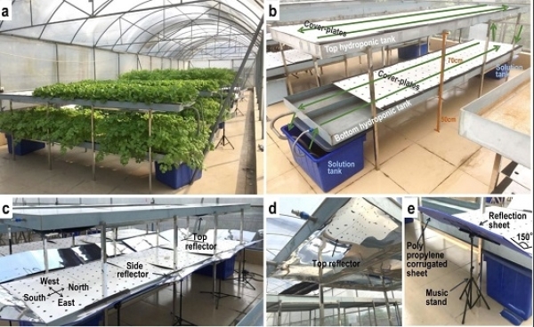 华南植物园都市楼顶双层水培蔬菜生产体系研究获进展