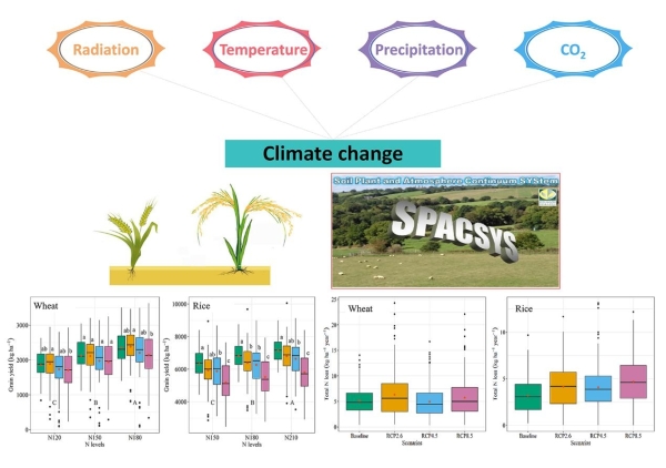 武汉植物园提出我国稻麦轮作体系应对气候变化的可能管理策略