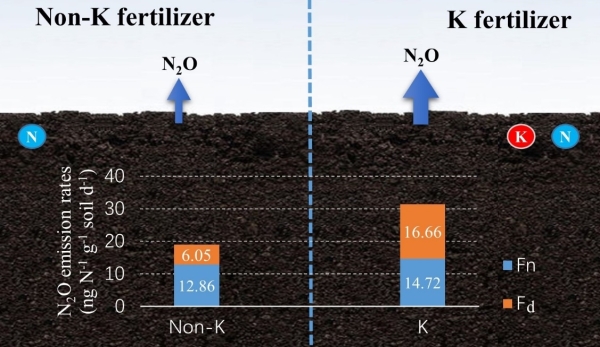 生态环境部：2026年将修订碳排放权交易管理办法(图1)