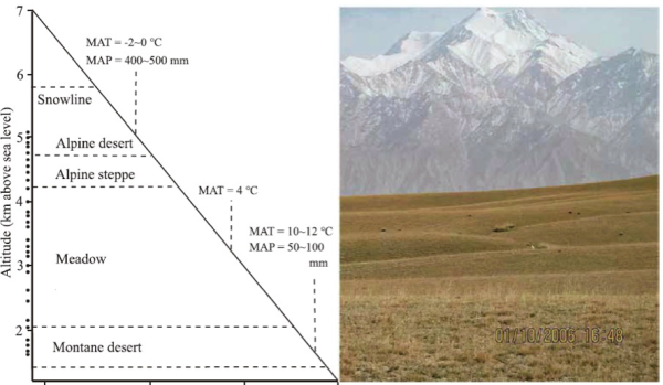 青藏高原所揭示青藏高原不同生态区表层土壤中萜类化合物分布特征