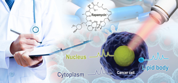 青岛能源所开发出基于拉曼组的肿瘤单细胞药敏检测新方法