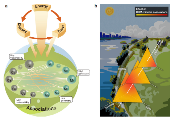 全球变化背景下溶解有机碳和微生物的生态网络关系研究取得进展