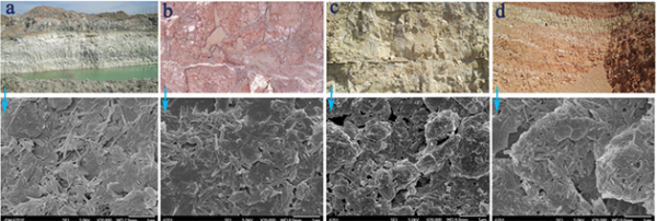 兰州化物所发表关于凹凸棒石黏土结构演化构筑各种功能材料研究的综述文章