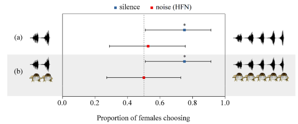 成都生物所揭示噪音可通过交叉感官干扰影响树蛙的配偶选择