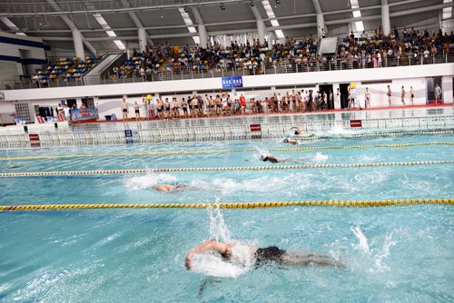 上海巴斯德所在2013年上海市科技系统游泳比