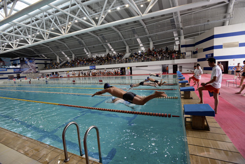 上海巴斯德所在2013年上海市科技系统游泳比