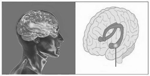 【中国科学报】动一动 十年少