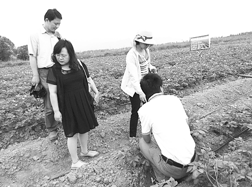 【中国科学报】给盐碱地披绿衣