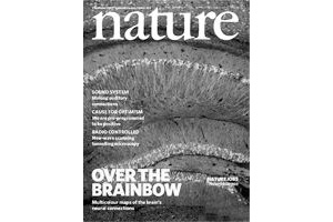 关于英国视角看中国数字出版内容的国际传播的硕士学位毕业论文范文