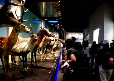 中科院国家动物博物馆在京开馆