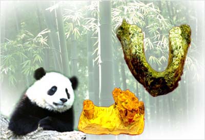 中国古动物馆举办大熊猫家族探秘特展