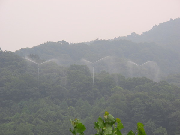华南植物园野外控制试验平台林冠模拟施N\/增