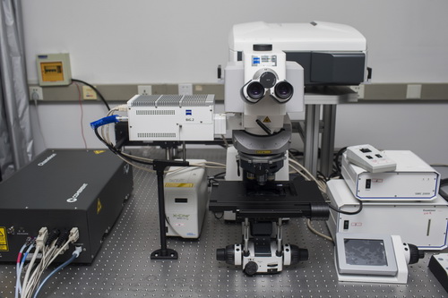 上海生科院计算生物学所高通量图像采集分析平